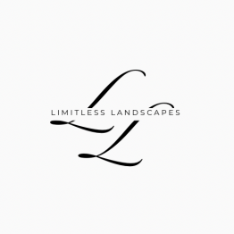 Limitless Landscapes
